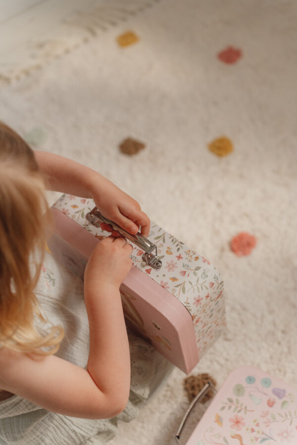 Suitcases Fairy Garden FSC